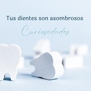 ¡Tus dientes son asombrosos! Curiosidades sobre salud bucal!